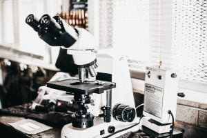 microscope time-lapse services
